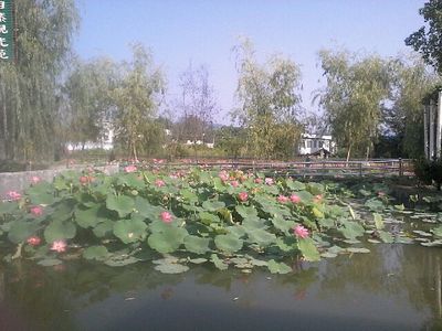 遵义鑫森林餐饮管理公司-饮食,花卉种植,餐饮-产品频道-金泉网